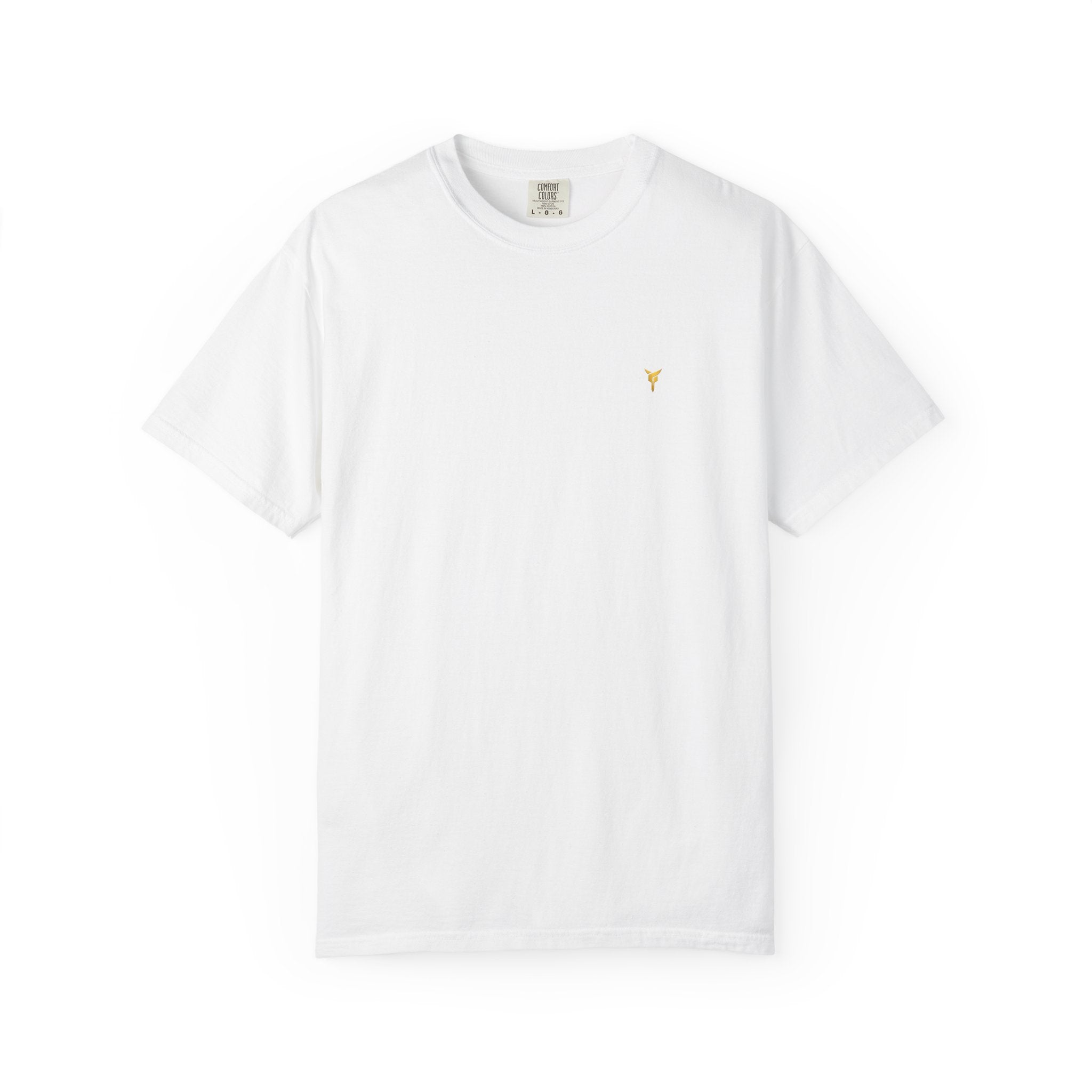 Ascend Vintage T-Shirt — "Driven to Ascend"