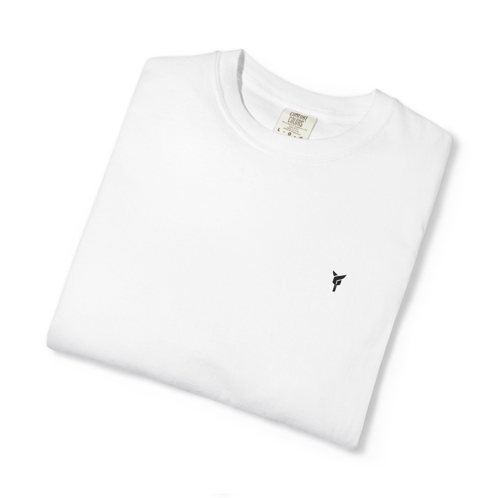 Basic Ascend T-Shirt