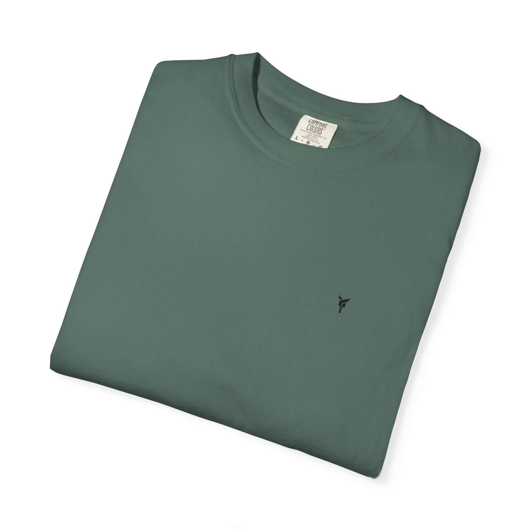 Ascend T-Shirt "Ascend State"