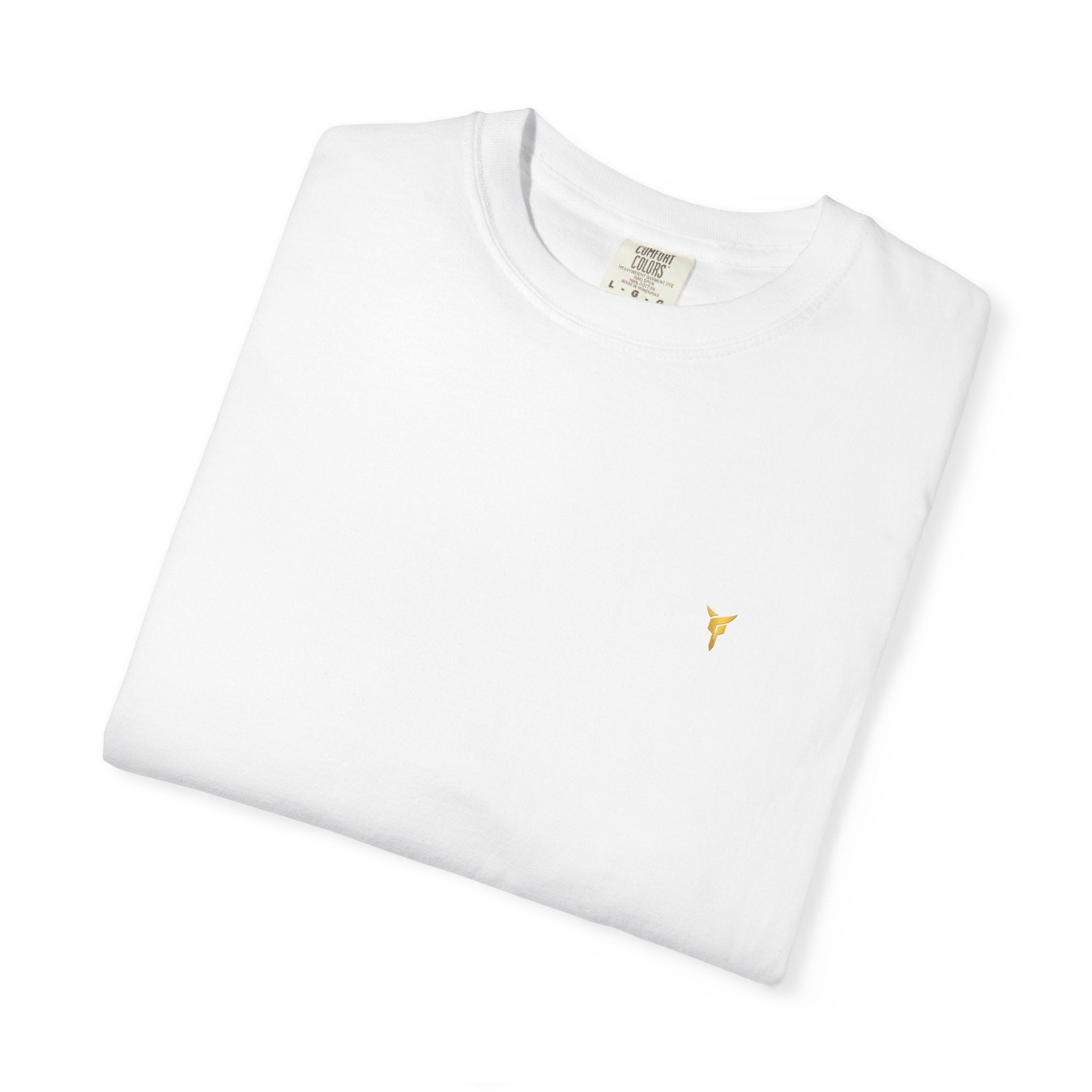 Ascend Vintage T-Shirt — "Driven to Ascend"